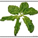 편작한의원 이미지