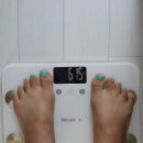 황금사과한의원 | 다이어트 한약 찐후기 7일 단기간 다이어트로 총 -2.4kg감량 성공하기