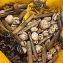 이마트24태안청포대점 이미지