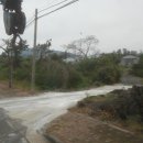 돈이농장 이미지