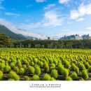 황산공원 캠핑장 3번 이미지