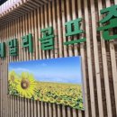 훼밀리 골프존 이미지