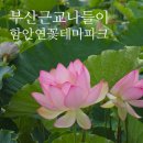 서동역 주변 육교밑 | 부산근교 연꽃 명소 함안 연꽃단지 후기｜여름 나들이 코스로 추천 함안연꽃테마파크