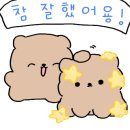 클린히트복싱 소사벌점 이미지