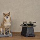 펫 매니저 | 홍천 풀빌라 추천 애견동반 숙소 독채 펜션 바베큐 풀스테이 스테이펫