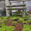 종현농장 이미지