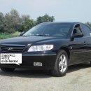 현대오토모터스 이미지