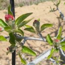 횡계고려의원 이미지