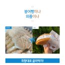 오붕어빵스