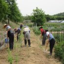 주정차74 이미지