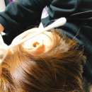 배불도기 네이버블로그