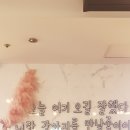 맨앤독 애견카페 네이버블로그