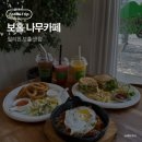필리핀 보홀 맛집 나무카페 솔직후기
