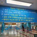 상동마을경로당 | [제주살이 13일] 가파도 - 2월가파도 가파도청보리와 유채꽃 모두를 볼 수 있는 마음이 편안해지는 곳...