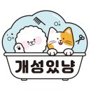 개성있냥 이미지