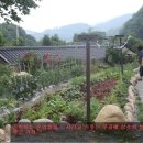 고향집민박 이미지