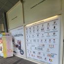 매머드익스프레스남산트윈시티
