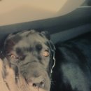 도도 - 고양시 일산동구 장항로 3 | 도도
