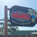 해도동 바다섬 작은도서관 | 2025 호주 여행 후기 멜버른 3일차 (2) - 퍼핑빌리 + 필립 아일랜드 펭귄 퍼레이드 투어 후기