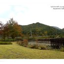 가대생태습지공원 티스토리