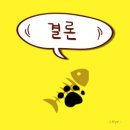릴공식서비스센터 네이버블로그