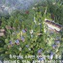 동막골 농장 이미지