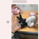 달보드레한 이미지