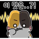 세보수산 - 광주시 경충대로 888 | 세보수산