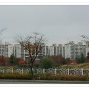 문학대1공원 네이버블로그