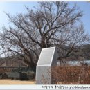 지리산둘레길 22코스(주천-밤재) 이미지