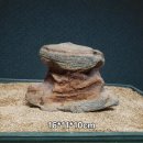 경석목장 Daum카페