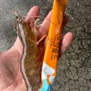 올바른수산 이미지