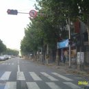 해바라기주유소 이미지