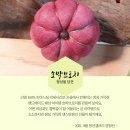 기프트엔젤