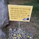 기억의대지 이미지