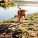 The Better GYM 이미지