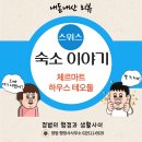 성인스위스아파트 | 스위스 체르마트역과 가까운 에어비앤비 숙소 하우스...아파트 테오돌 코지 다운타운 스튜디오) 1박 후기