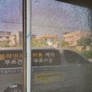 도그뮤티샵 네이버블로그