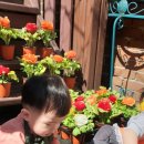 해랑 어린이집(어린이집) 이미지