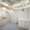 오송애견 이미지