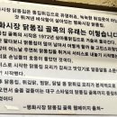 고인돌 맛집 이미지