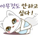 제주에산다면 이미지