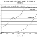 Taking Stock: World Fish Catch Falls to 90 Million Tons in 2012 이미지