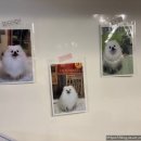 빛날시간 이미지