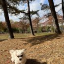 신영식농장 이미지