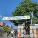 대전여자고등학교(구조관) 이미지