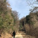 달구애견 네이버블로그