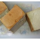 손토스트 - 안산시 상록구 | 손토스트