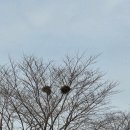 동학혁명 모의탑 | 정읍1-2, 대뫼(죽산) 동학혁명 모의 및 사발통문,입석리