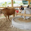 화천박물관 이미지